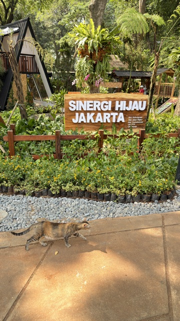 Flona Jakarta
